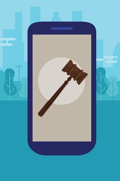 The Future of Online Accountability: New Laws vs. Internet Abuse