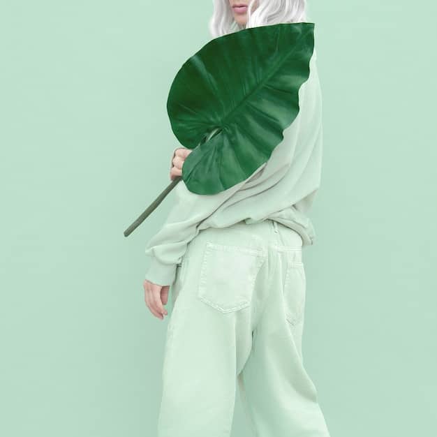 Sustainable Fashion Drops: Eco-Friendly Collections for Value Investing