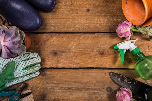 An overhead shot of various gardening tools laid out on a wooden table, including trowels, hand rakes, pruning shears, and seed packets. Soft, natural light enhances the textures of the tools and seeds.